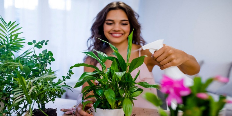 plants