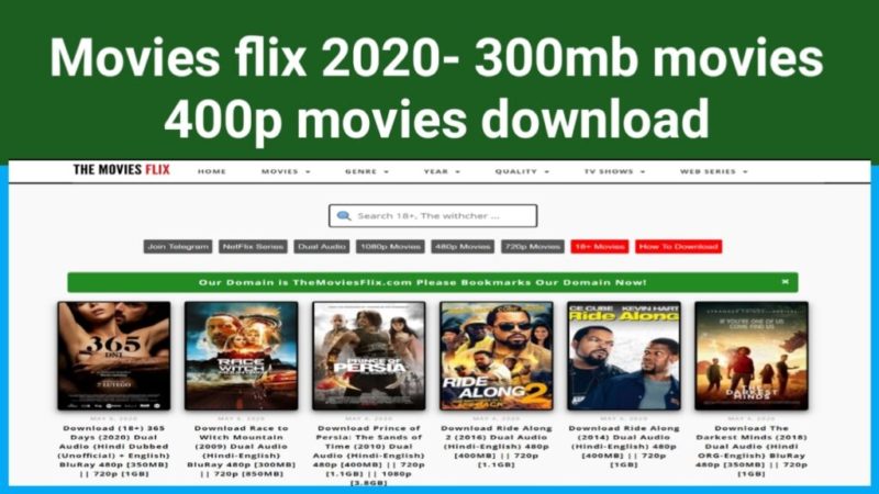 Moviesflix Pro