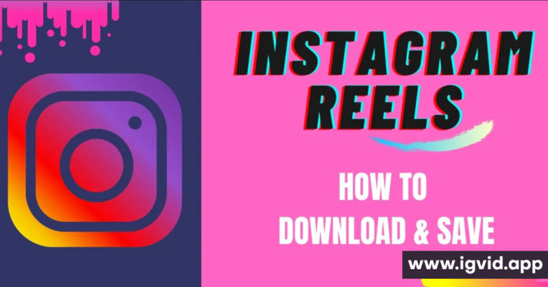 Profile Picture for Instagram Download